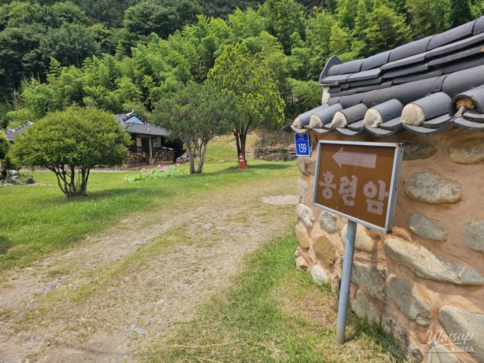 Exploring the Lotus Blossom at Bongnyeonam Temple in Wanju_03
