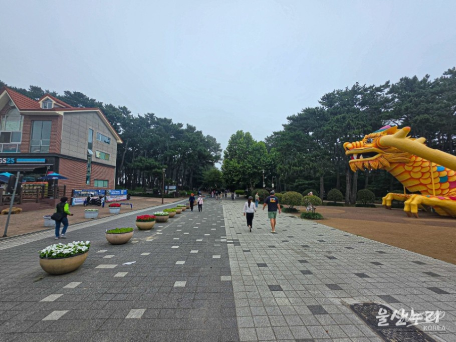 Exploring Daewangam Park: A Hidden Gem in Ulsan_02