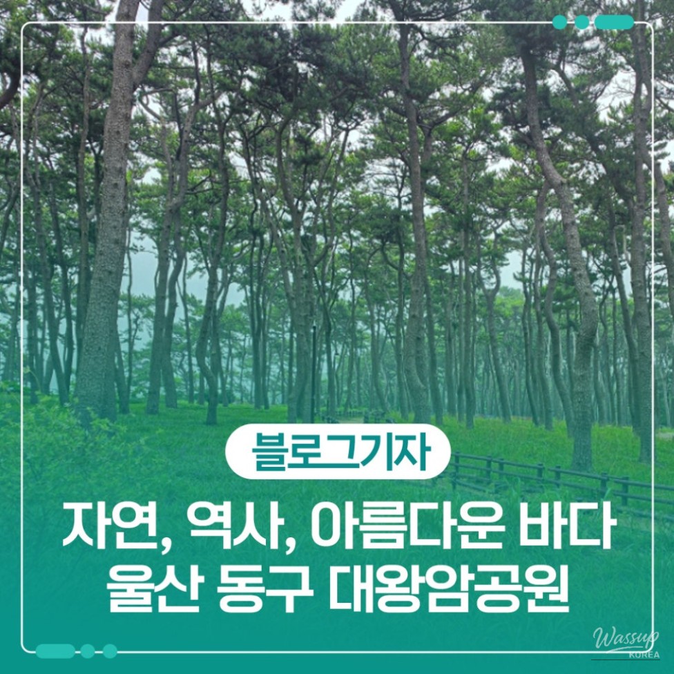 Exploring Daewangam Park: A Hidden Gem in Ulsan_01
