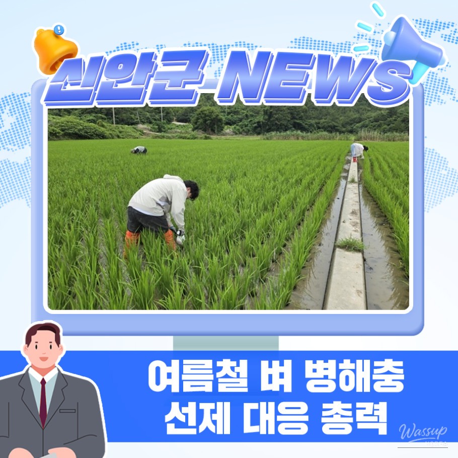 Focused Pest Control Period for Rice in Sinan-gun_01