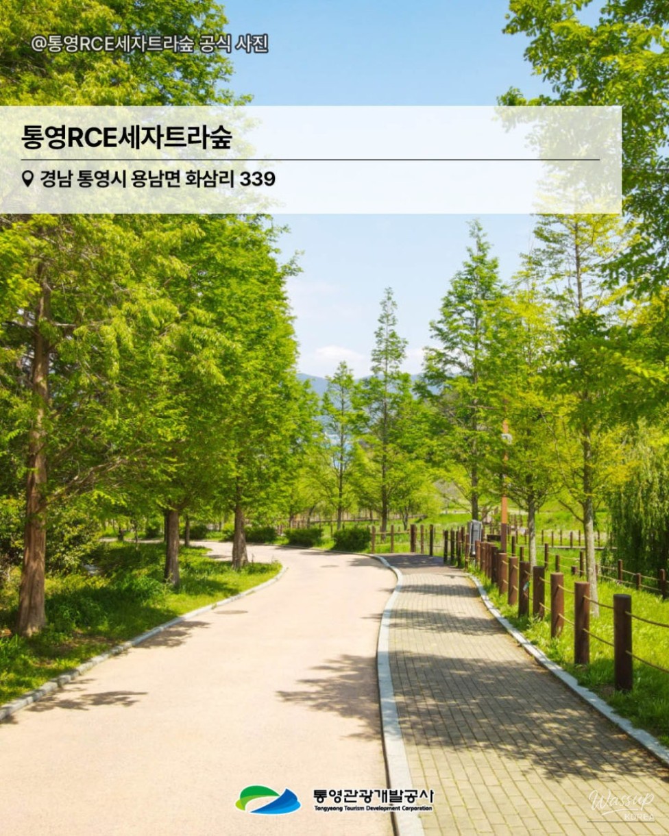 Essential Summer Photo Spots in Tongyeong_10