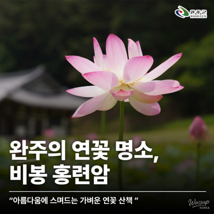 Exploring the Lotus Blossom at Bongnyeonam Temple in Wanju_01