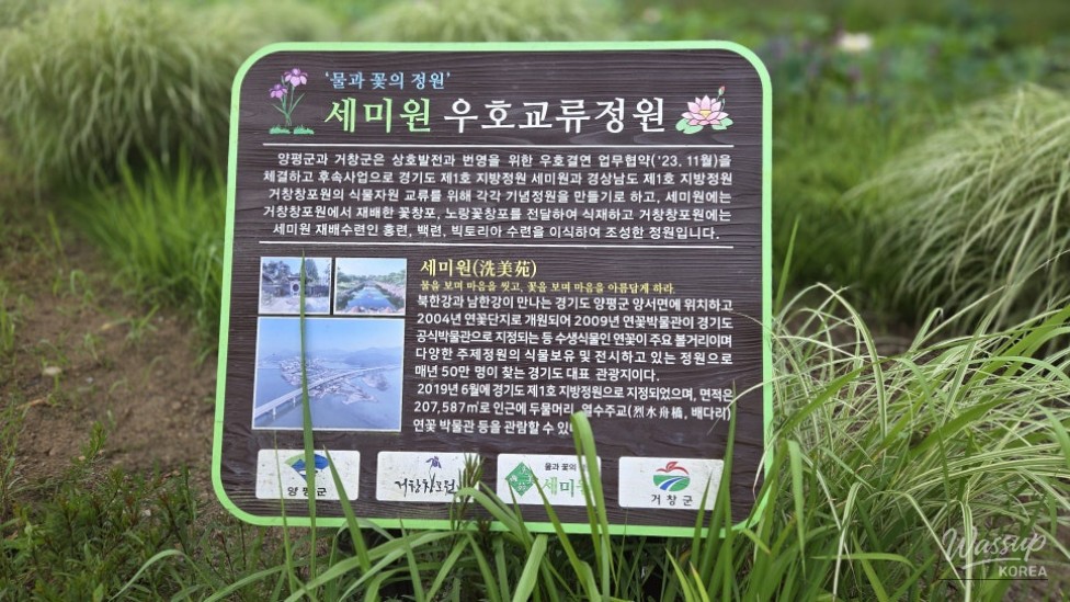A Summer Stroll in Geochang Changpo Garden: A Healing Journey with Lotus Flowers_04