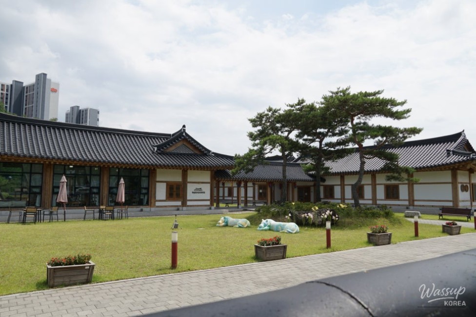 Discovering the Tranquil Beauty of Okcheon in Summer_07