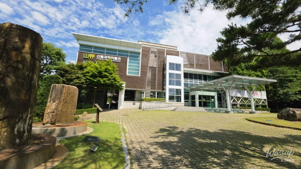 Exploring Cheongju's Midongsan Arboretum: A Free Nature Retreat_20