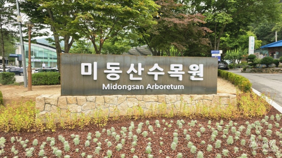 Exploring Cheongju's Midongsan Arboretum: A Free Nature Retreat_02