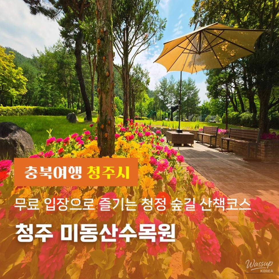 Exploring Cheongju's Midongsan Arboretum: A Free Nature Retreat_01