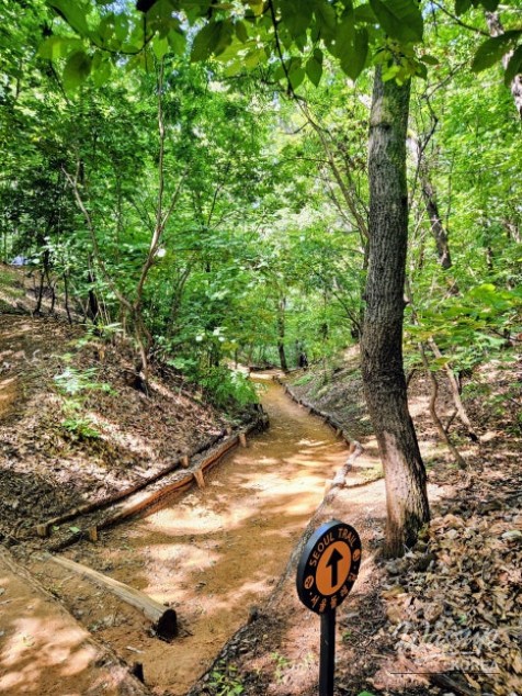 Top 5 Summer Hiking Trails in Seoul_07