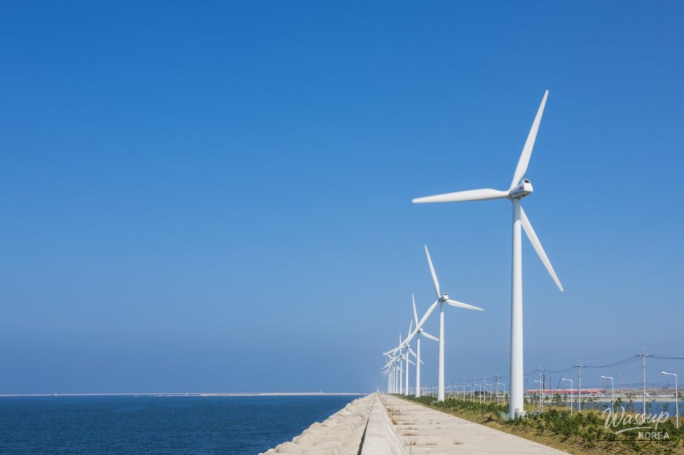 Shinan County Sets New Milestone in South Korea's Offshore Wind Power Industry_04