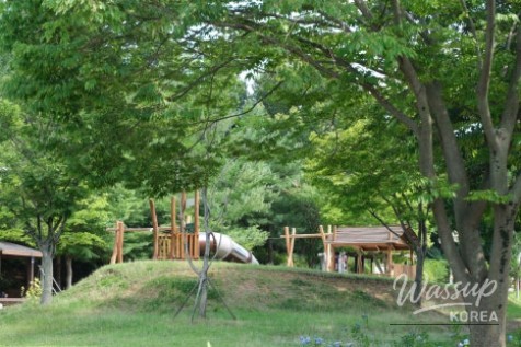 Recommended Local Travel Destination in Iksan: Baesan Sports Park_05