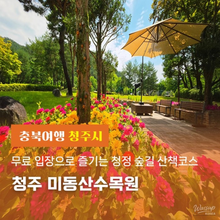 Exploring Cheongju's Midongsan Arboretum: A Free Nature Retreat4680