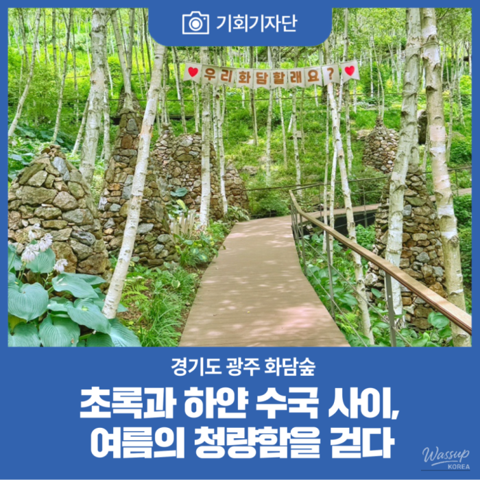 Discovering the Beauty of Hwadam Forest in Summer2258