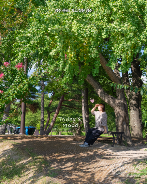 Discovering the Summer Beauty of Gyeongju's Seochulji_07