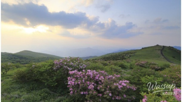 Exploring the Enchantment of Sobaeksan in April_01