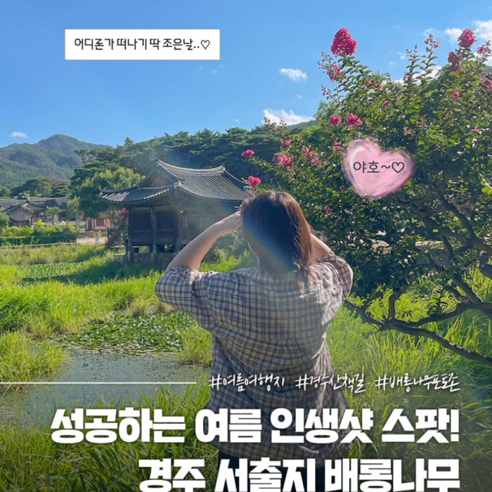 Discovering the Summer Beauty of Gyeongju's Seochulji4687