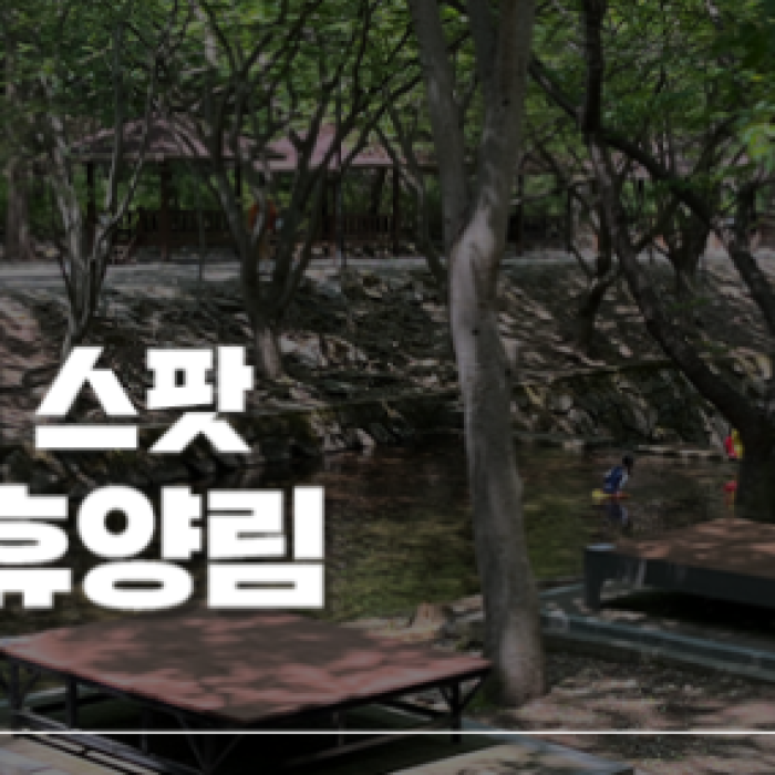 Exploring Gosan Natural Recreation Forest: A Personal Review2268