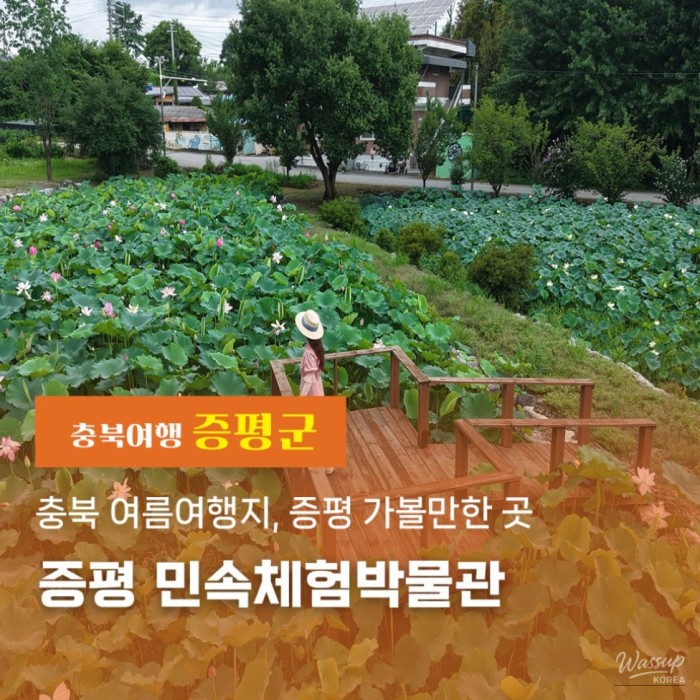 A Refreshing Summer Retreat in Jeungpyeong4689