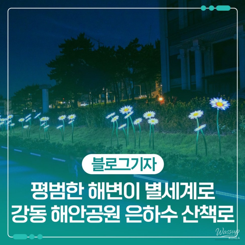 Exploring the Night Walkway of Gangdong Beach in Ulsan_01