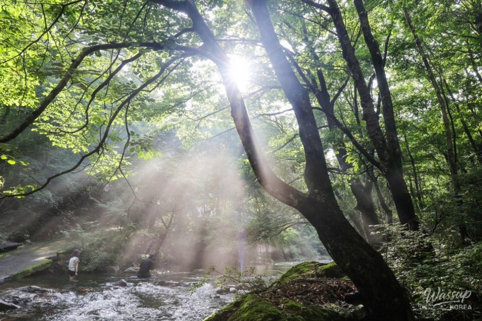 Recommended Valleys in Chungbuk: The Enchanting Deokdong Valley in Jecheon_08