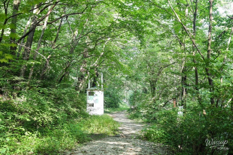 Recommended Valleys in Chungbuk: The Enchanting Deokdong Valley in Jecheon_16