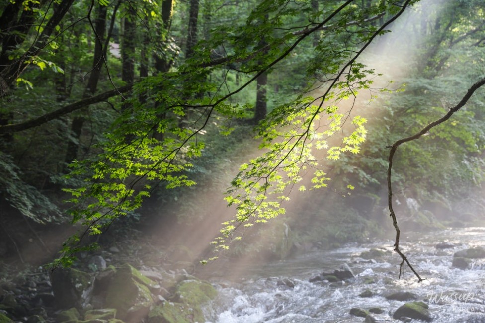 Recommended Valleys in Chungbuk: The Enchanting Deokdong Valley in Jecheon_13