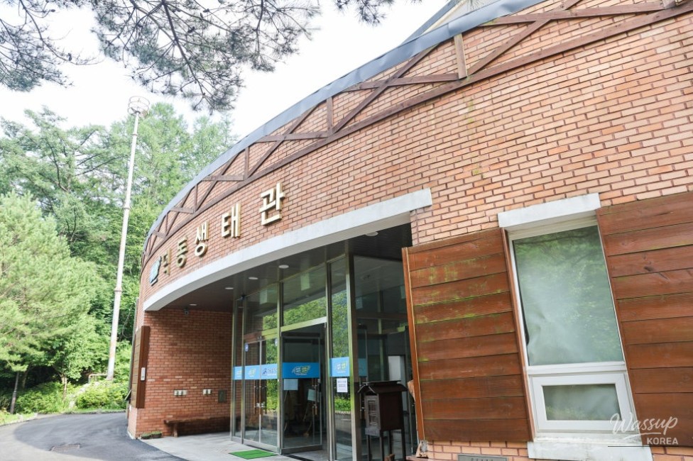 Recommended Valleys in Chungbuk: The Enchanting Deokdong Valley in Jecheon_05