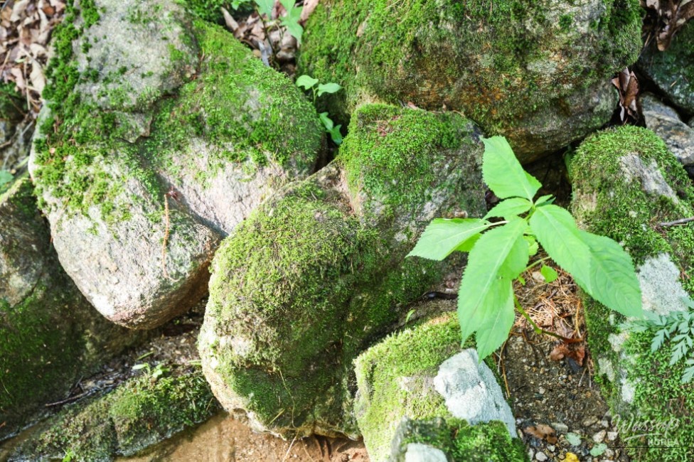 Recommended Valleys in Chungbuk: The Enchanting Deokdong Valley in Jecheon_15