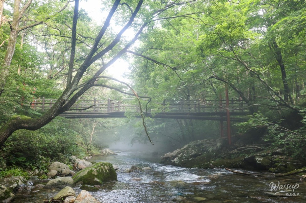 Recommended Valleys in Chungbuk: The Enchanting Deokdong Valley in Jecheon_12