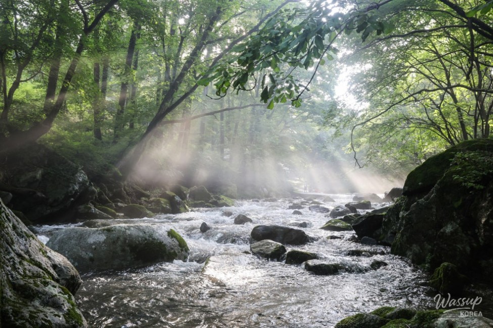 Recommended Valleys in Chungbuk: The Enchanting Deokdong Valley in Jecheon_14