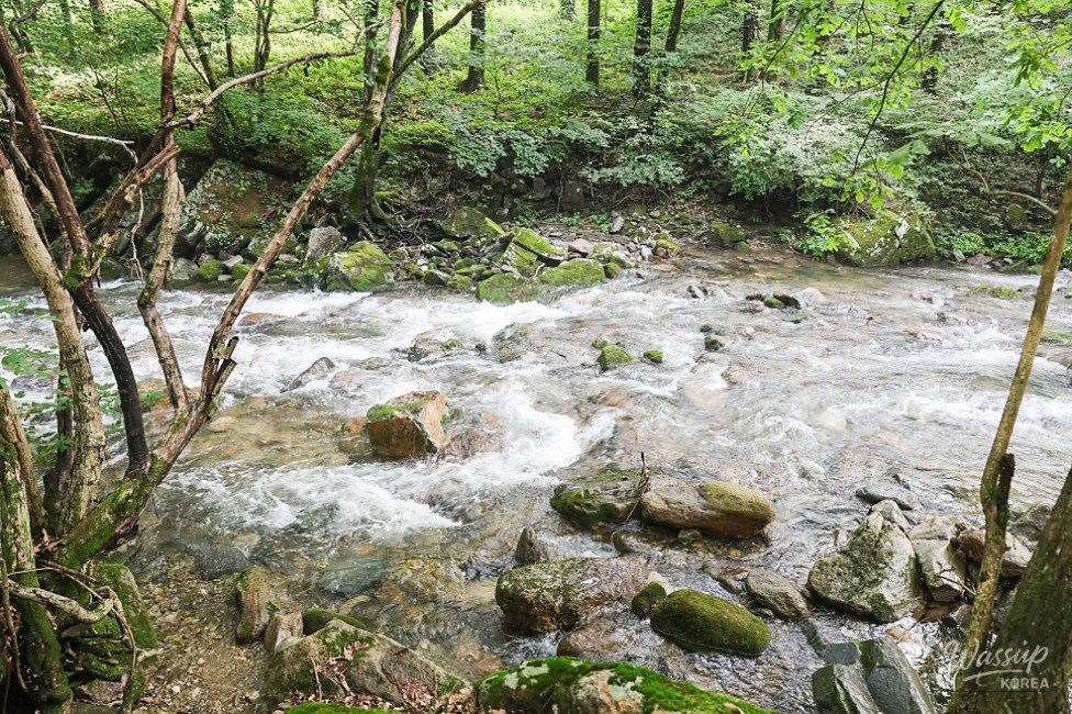 Recommended Valleys in Chungbuk: The Enchanting Deokdong Valley in Jecheon_11