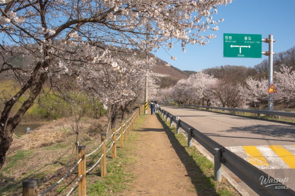 Exploring the Scenic Chopyeong Reservoir in Jincheon_04