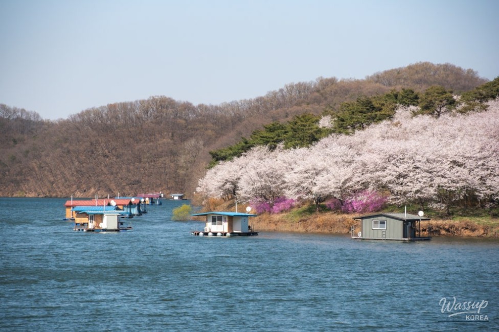 Exploring the Scenic Chopyeong Reservoir in Jincheon_03
