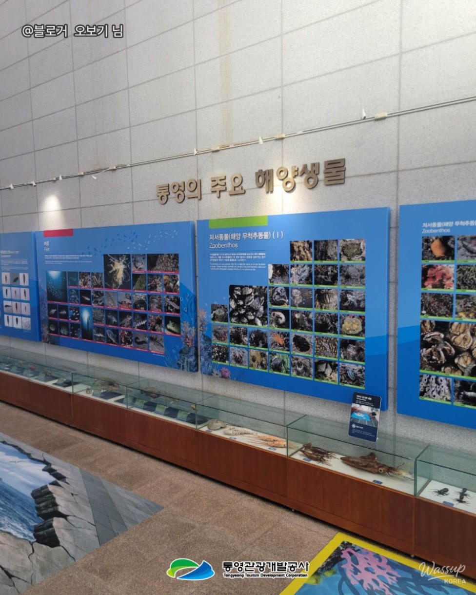 A Perfect Summer Vacation Spot: Tongyeong Fisheries Science Museum_07