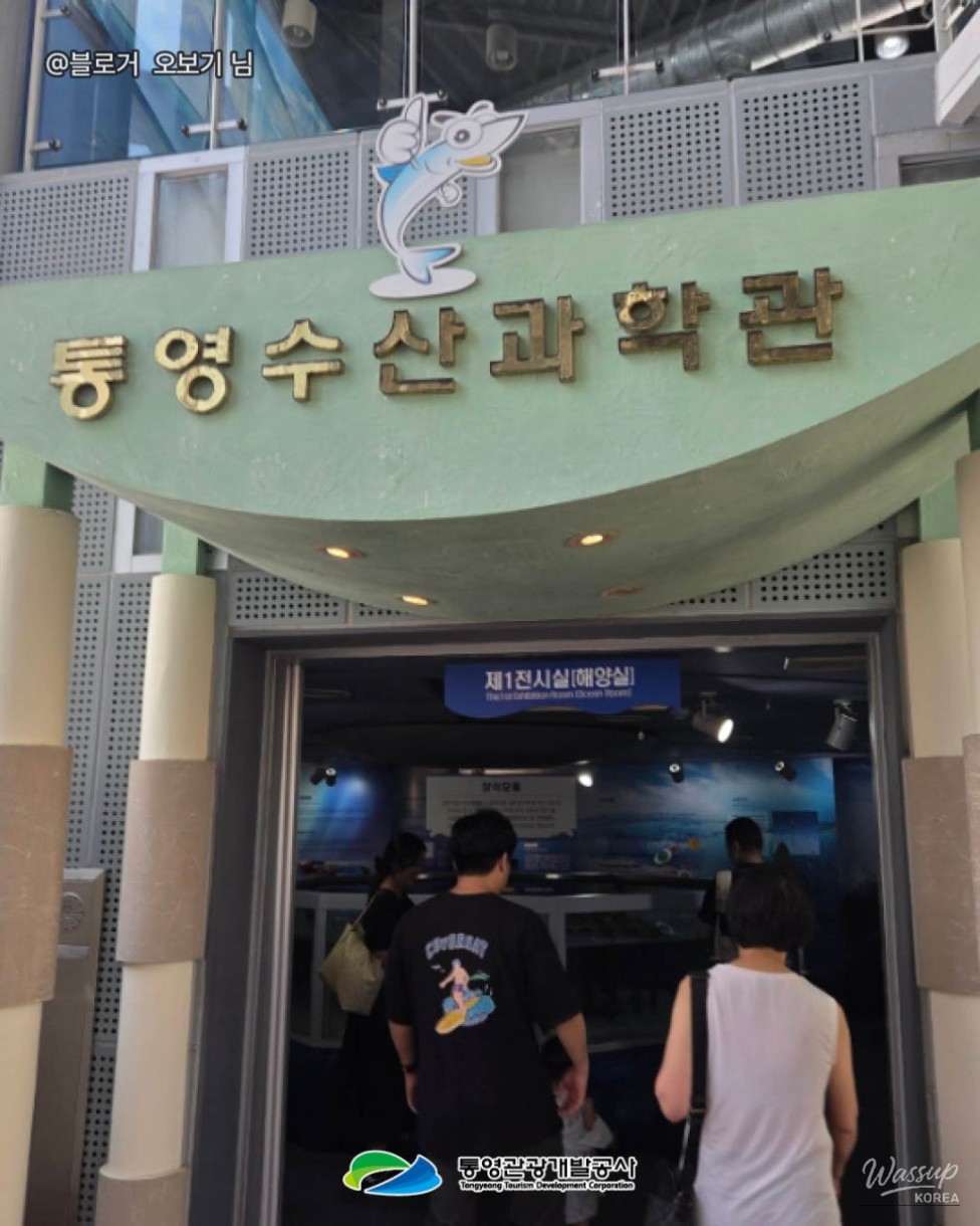 A Perfect Summer Vacation Spot: Tongyeong Fisheries Science Museum_08