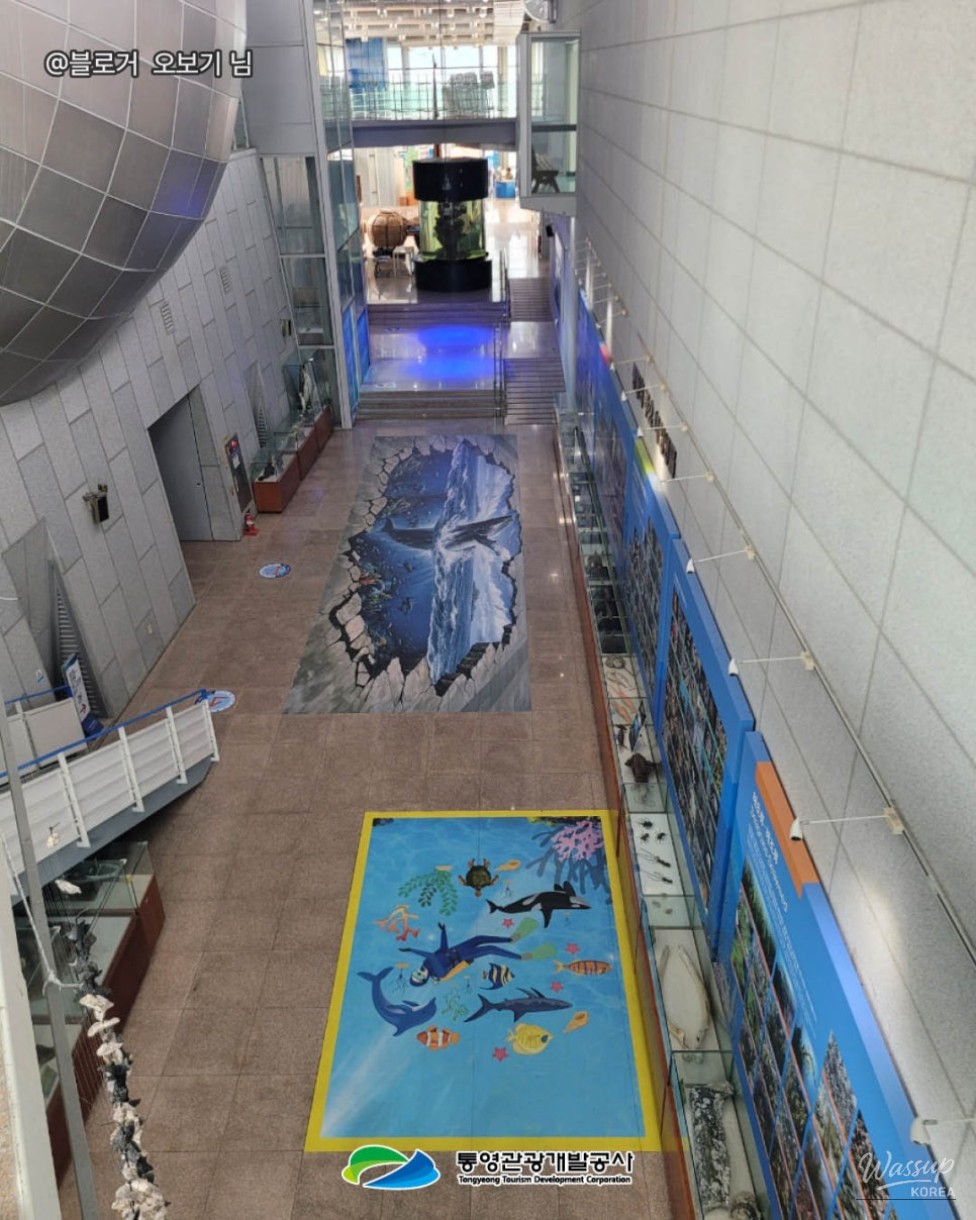 A Perfect Summer Vacation Spot: Tongyeong Fisheries Science Museum_06