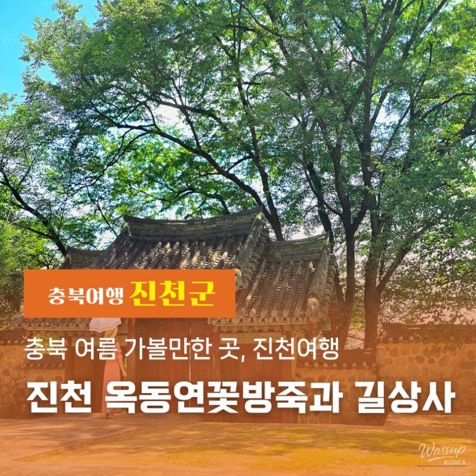 Exploring the Serene Beauty of Jincheon: A Summer Journey to Okdong Lotus Pond and Gilsangsa Temple_01
