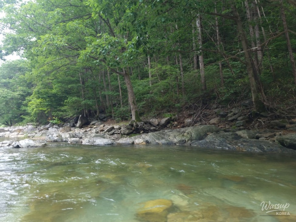 Exploring the Cool Waters of Muhan Valley in Summer_03