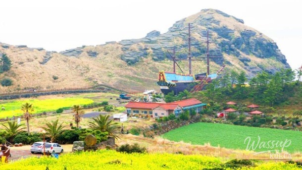 Explore the Stunning Canola Flower Fields of Sanbangsan, Jeju_03