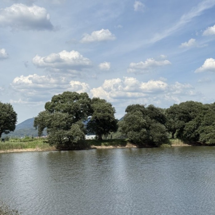 The Beauty of Bangokji in July2272