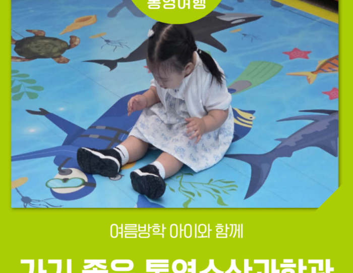 A Perfect Summer Vacation Spot: Tongyeong Fisheries Science Museum float