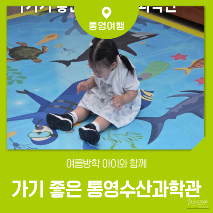 A Perfect Summer Vacation Spot: Tongyeong Fisheries Science Museum2422