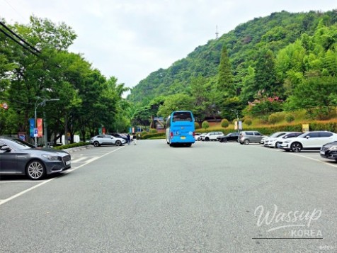 Discovering Ulsan's Hidden Gem: Taehwa River Cavepia_03