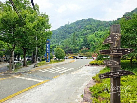 Discovering Ulsan's Hidden Gem: Taehwa River Cavepia_02