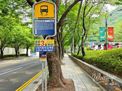 Discovering Ulsan's Hidden Gem: Taehwa River Cavepia_04