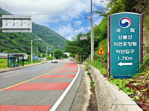 Exploring Paraeso Falls: A Nature Retreat in Ulsan_03