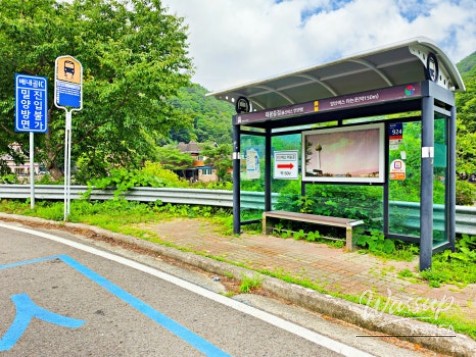 Exploring Paraeso Falls: A Nature Retreat in Ulsan_04