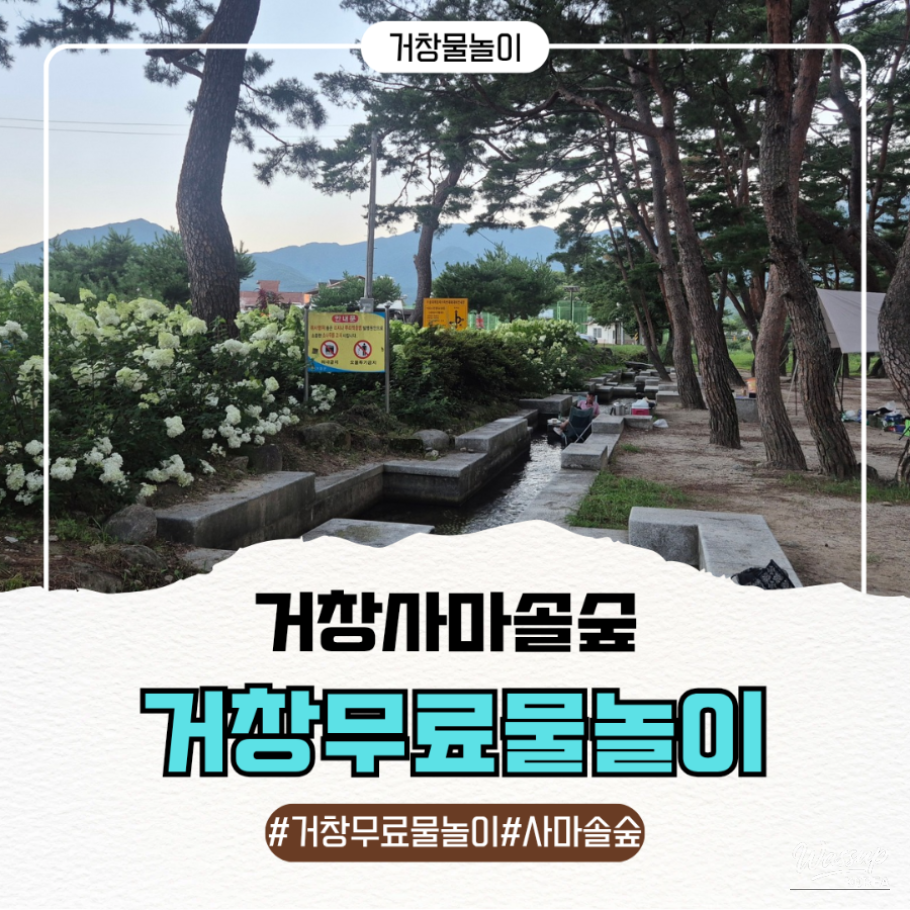 Discover the Refreshing Pine Forest of Geochang_01
