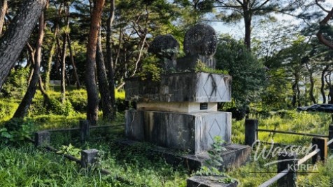 Discovering the Hidden Healing Spot: Dongho Forest in Geochang_26