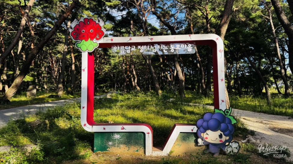 Discovering the Hidden Healing Spot: Dongho Forest in Geochang_08