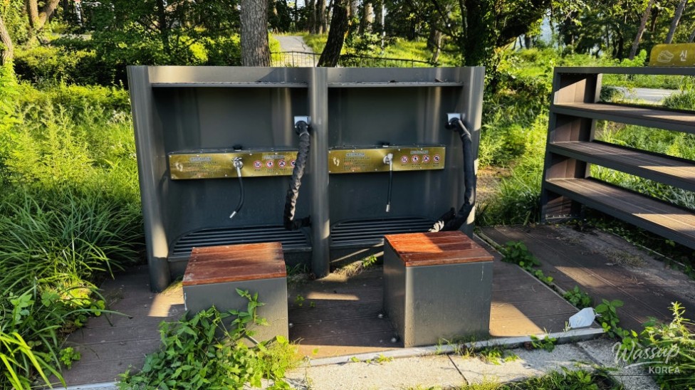 Discovering the Hidden Healing Spot: Dongho Forest in Geochang_24